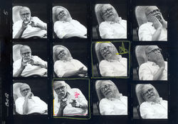 Darcy Ribeiro, Vulcão de Ideias