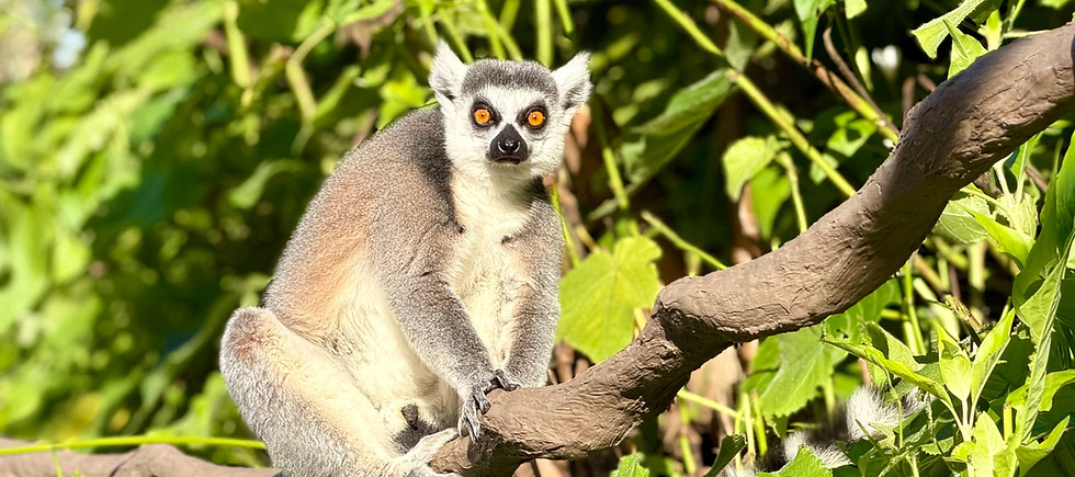 pexels-joolsmagools-37837079.jpg