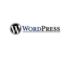 IT e-commerce - Wordpress.jpg
