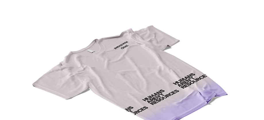 Patagonia Tee.png