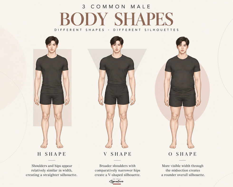 Body Shape ผู้ชายสามารถแบ่งออกเป็น 3 รูปแบบ ได้แก่ H Shape, V Shape และ O Shape