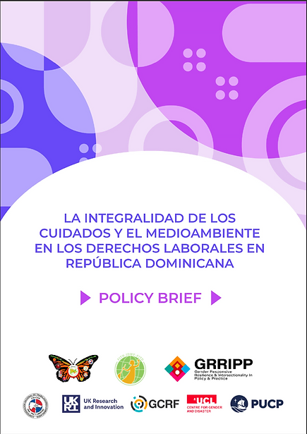 IMG_policy brief.png
