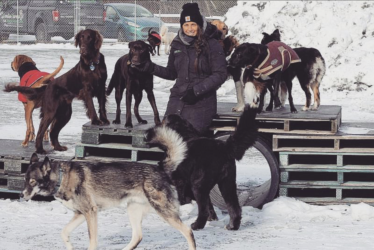 Samantha Lowe, Owner