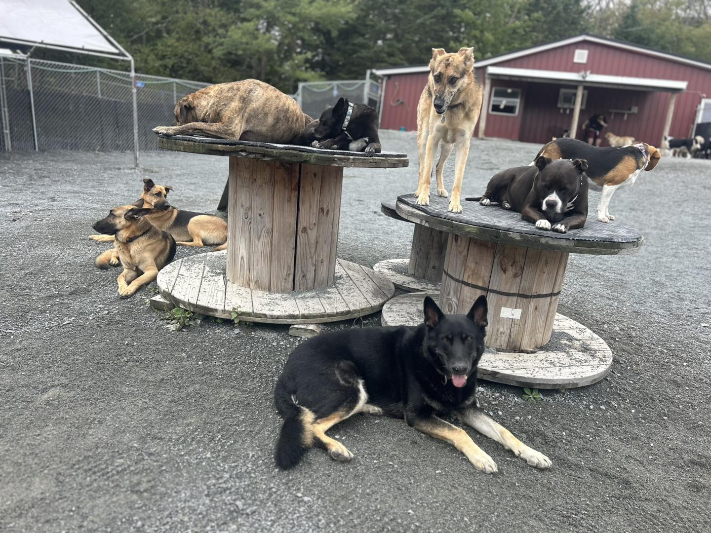 Bowlin Farms daycare grounds