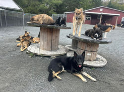 547086805_1359664006160873_6630965446452403407_n