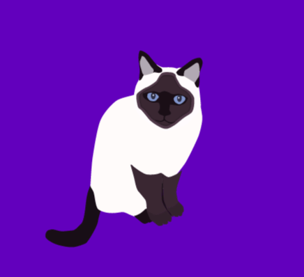 suki-bg.gif