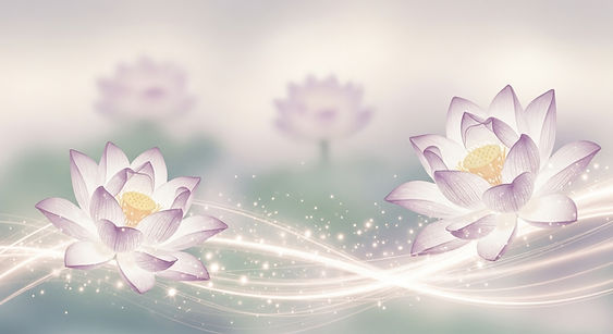 Lilly background.jpg