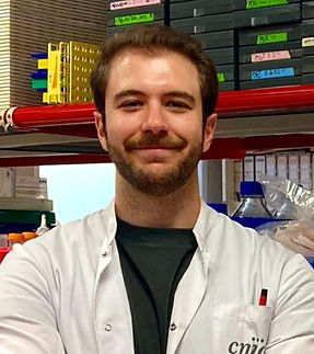 WhatsApp Image 2025-12-11 at 16.40_edited.jpg