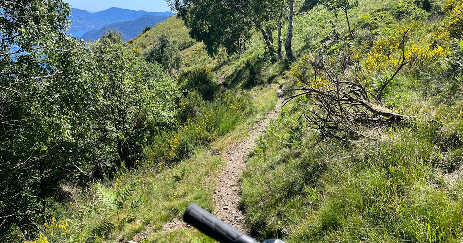 Anspruchsvoller Trail S2-S3