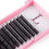 Thumbnail: .03 D Curl Mixed Tray