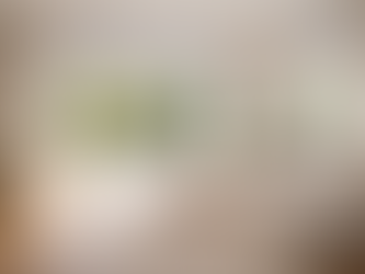 Motorised curtains and blinds in a contemporary Canberra room