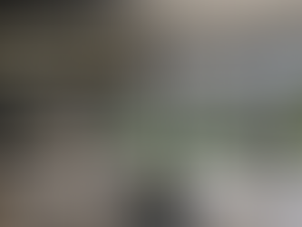 Large living room windows fitted with sleek alpha blinds in a modern home