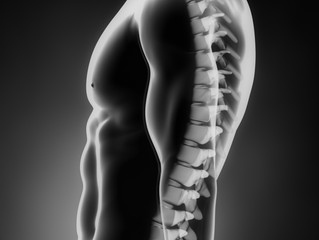 Finding Your Neutral Spine: How to Sit More Comfortably!