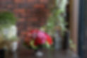 DSC01332.JPG
