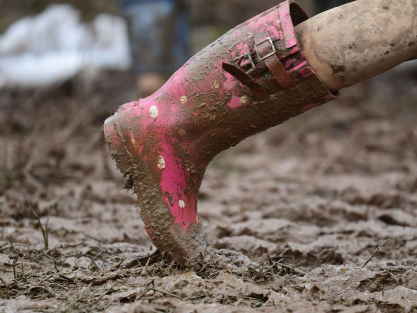 cimato topsoil.jpg