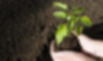 iStock-173927896-e1565797283127-768x456.jpg