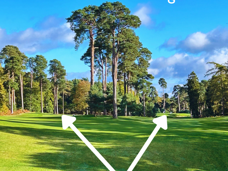 Course Management Strategies for Handicap Golfers