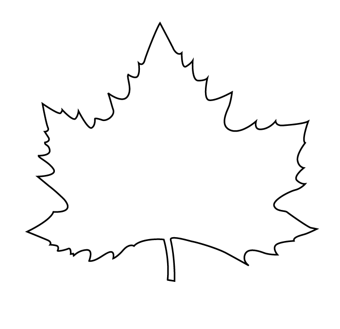 Sycamore Salvage-v2-Leaf Outline.jpg