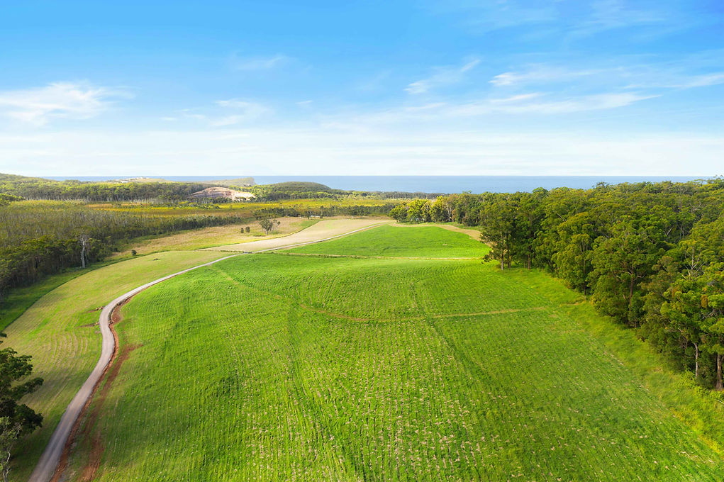 Lindsay Moller Productions-0037.jpg