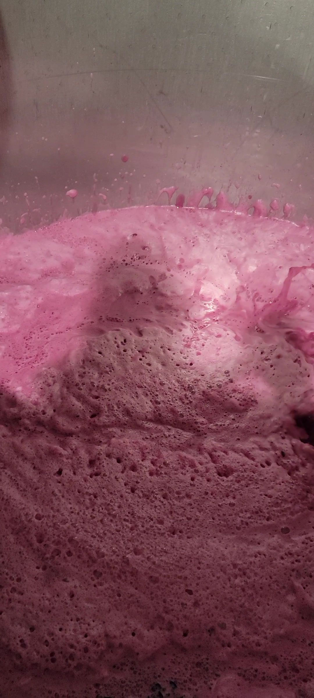 Bubbling pink liquid during fermentation