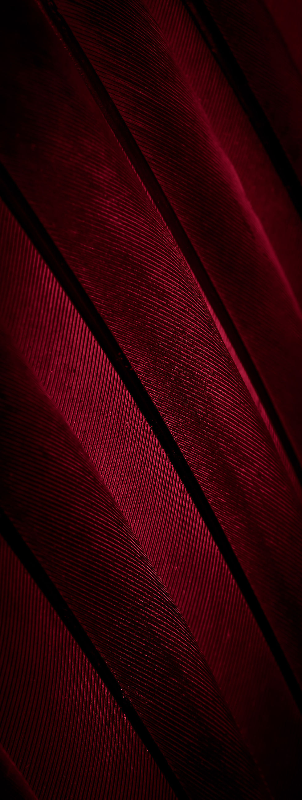 striking-abstract-diagonal-lines-in-red-and-black-2026-03-25-05-26-21-utc_edited.jpg