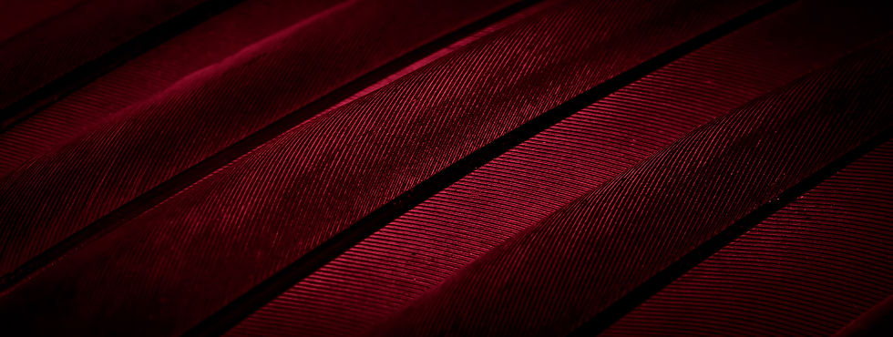 striking-abstract-diagonal-lines-in-red-and-black-2026-03-25-05-26-21-utc.jpg