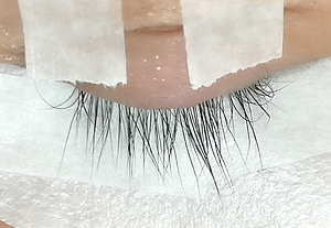 マツエクを続けているのにまつげは増えている/赤坂3分まつげプライベートサロンMA