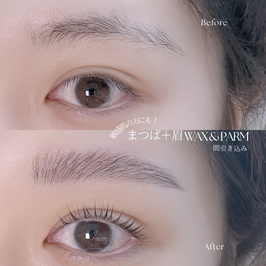 【まつぱ＋眉WAX＋眉パーマ】 トータルケア🕊️
