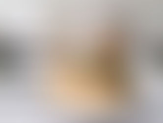 FERMENTADOS – MELHORA DO SEU MICROBIOMA. 