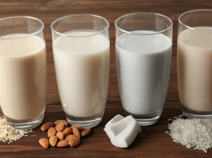 LEITES VEGETAIS - BEBIDAS À BASE DE PLANTAS