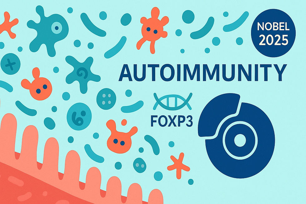 Autoimunidade, microbioma e os “freios” do sistema imune (Nobel 2025)