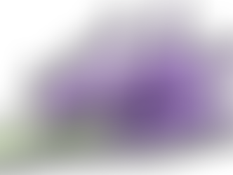 Fitoterapia - Índice das Postagens