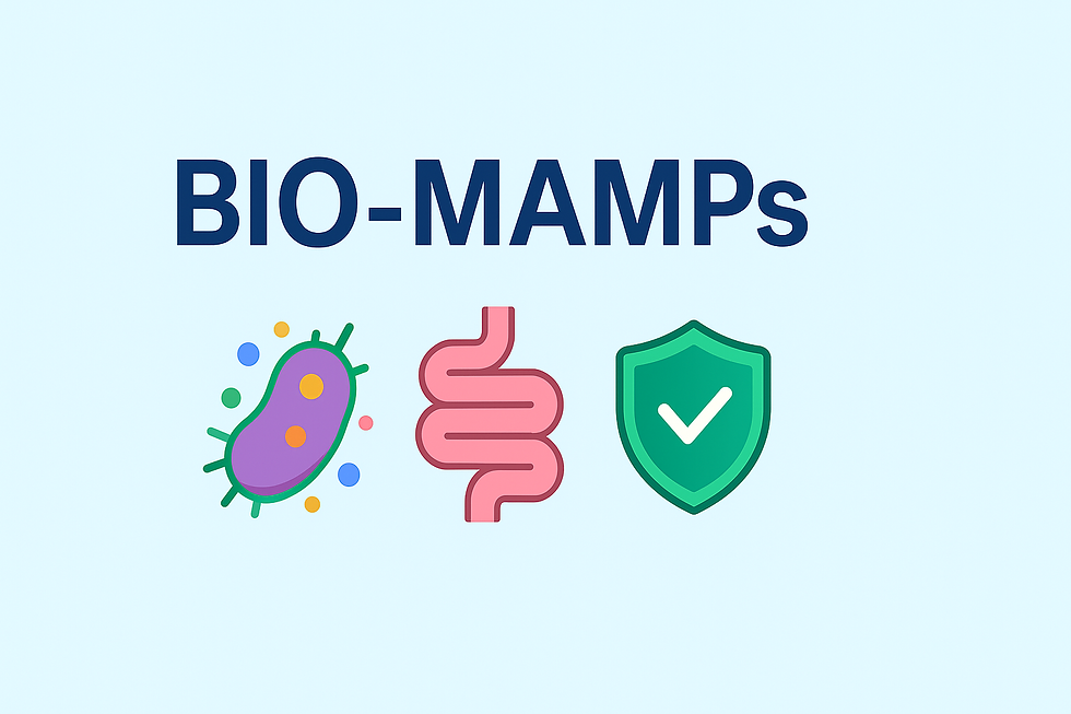 Bio-MAMPs: o que são e por que estão ganhando espaço na medicina da microbiota