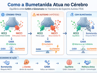 Bumetanida no Autismo: o que sabemos até agora