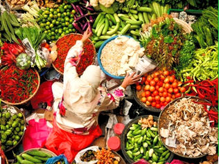 ALIMENTAÇÃO E SAÚDE DO PLANETA