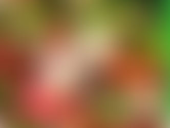 ALIMENTAÇÃO E SAÚDE DO PLANETA