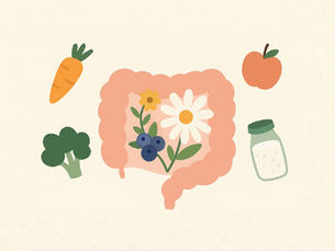 🌿 Alimentação para uma Microbiota Intestinal Saudável