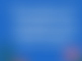 OBESIDADE - FITOTERAPIA