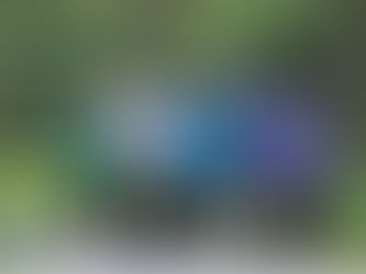 CAMINHAR 8 MIL PASSOS PARA AUMENTAR A EXPECTATIVA DE VIDA.