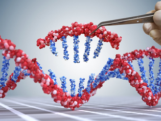 Epigenética, Gens e SNPs - Índice das Postagens