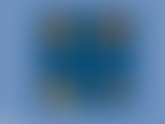 Autismo e Microbiota Intestinal: O Papel do Intestino no Comportamento, na Imunidade e na Qualidade de Vida