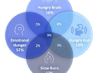 OBESIDADE - TRATAMENTO CONFORME AS CARACTERÍSTICAS INDIVIDUAIS.