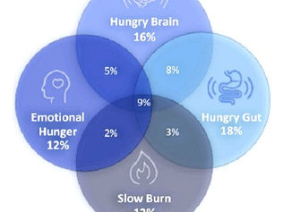 OBESIDADE - TRATAMENTO CONFORME AS CARACTERÍSTICAS INDIVIDUAIS.