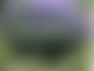 3 FITOTERÁPICOS DE USO FEMININO. 