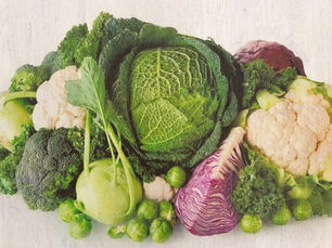 EFEITOS DO SULFAROFANO NAS DOENÇAS CEREBRAIS