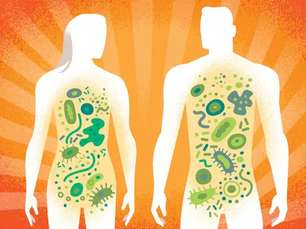 MICROBIOMA - APETITE E OBESIDADE