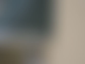 ドクター雨仕舞い 屋根 雨漏り事例 本体~下屋軒先取合い②