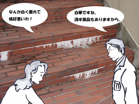 タイル・レンガの白華現象はないか