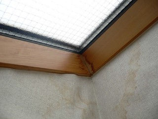 ドクター雨仕舞い 屋根 雨漏り事例 トップライト周り②