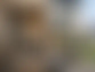 Haus verkaufen oder sanieren - was lohnt sich?
